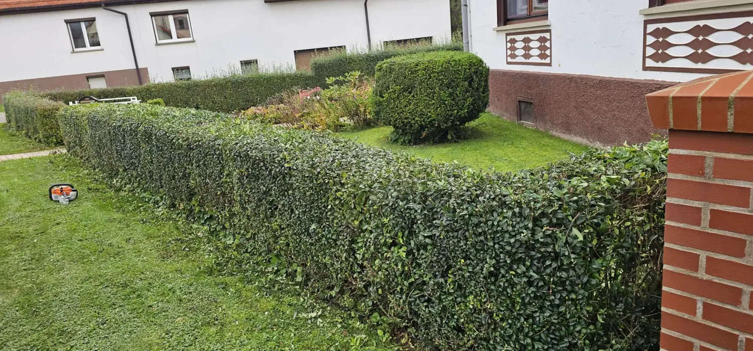 LSP Dienstleistungsservice - Gartenarbeit